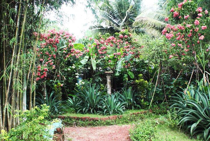 Hotel Soraya, Goa 4